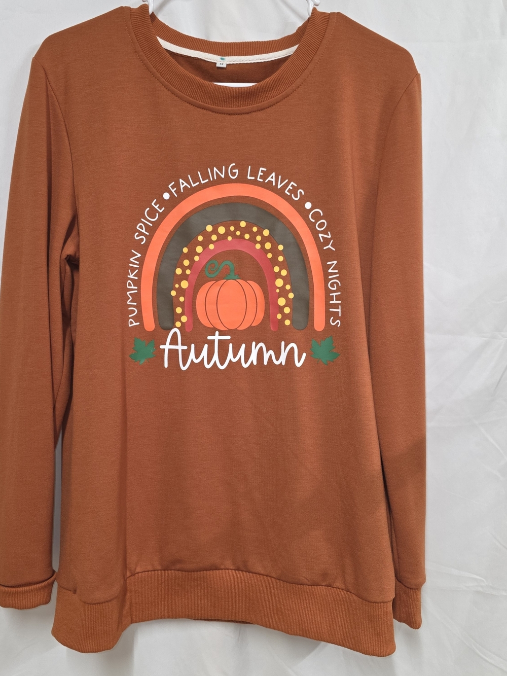 Autumn Pumpkin Graphic Sweatshirt - Rust Orange